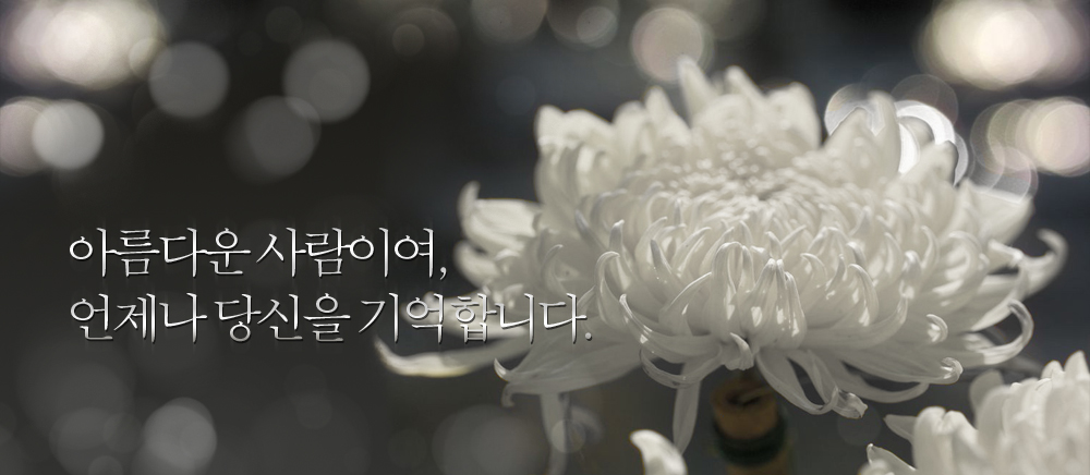 메인 사진
