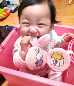 영정 사진